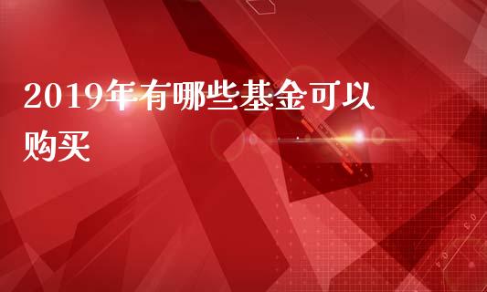 2019年有哪些基金可以购买_https://m.fansifence.com_公募基金_第1张