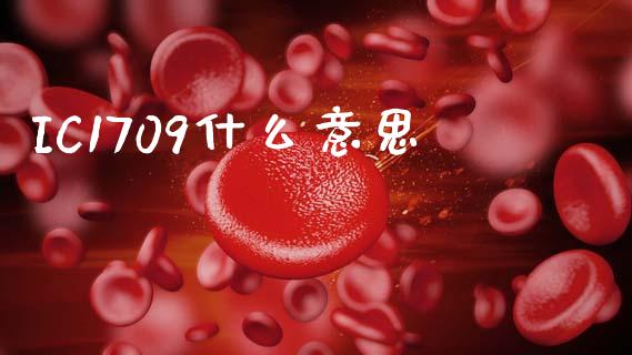 IC1709什么意思_https://m.fansifence.com_贵金属行情_第1张