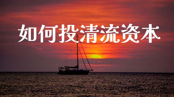 如何投清流资本_https://m.fansifence.com_个股行情_第1张