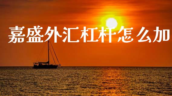 嘉盛外汇杠杆怎么加_https://m.fansifence.com_公募基金_第1张