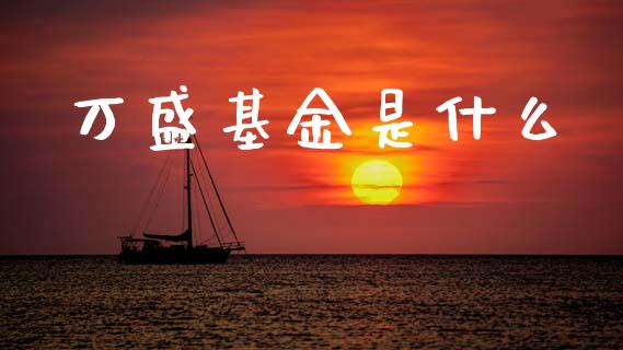 万盛基金是什么_https://m.fansifence.com_贵金属行情_第1张