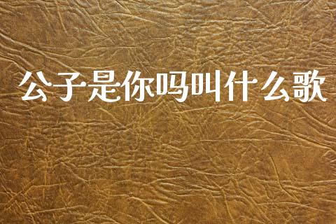 公子是你吗叫什么歌_https://m.fansifence.com_个股行情_第1张