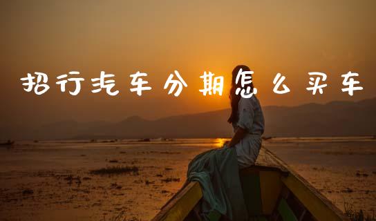 招行汽车分期怎么买车_https://m.fansifence.com_公募基金_第1张