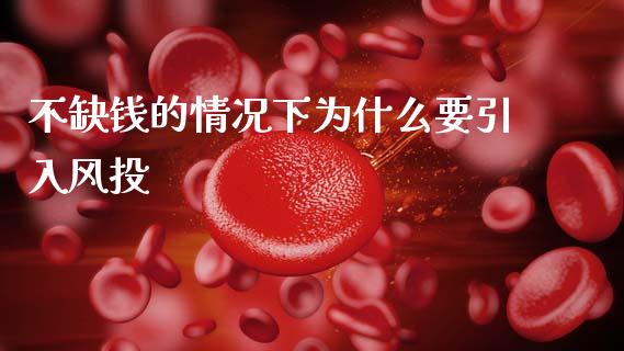 不缺钱的情况下为什么要引入风投_https://m.fansifence.com_公募基金_第1张
