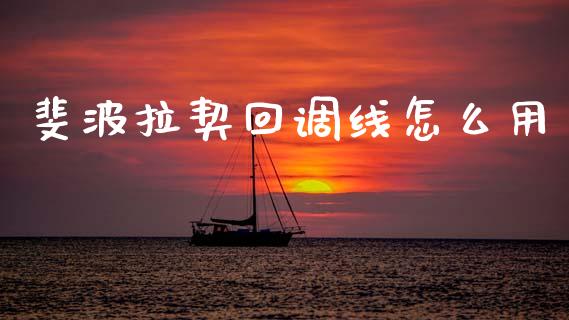 斐波拉契回调线怎么用_https://m.fansifence.com_贵金属行情_第1张