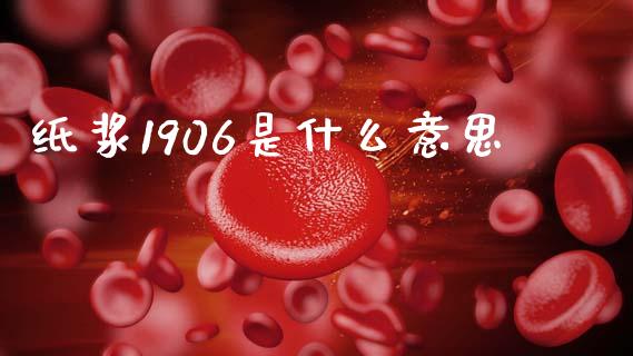 纸浆1906是什么意思_https://m.fansifence.com_公募基金_第1张