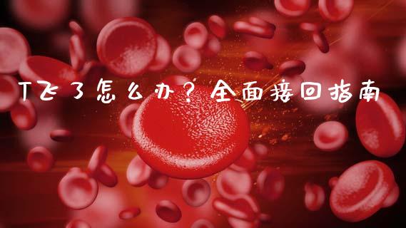 T飞了怎么办？全面接回指南_https://m.fansifence.com_贵金属行情_第1张