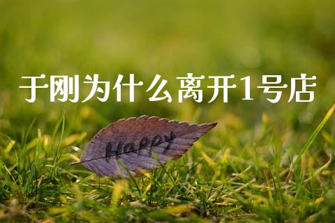 于刚为什么离开1号店_https://m.fansifence.com_公募基金_第1张