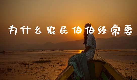 为什么农民伯伯经常要_https://m.fansifence.com_个股行情_第1张