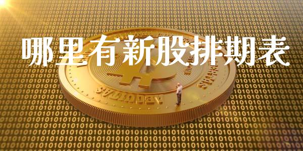 哪里有新股排期表_https://m.fansifence.com_公募基金_第1张