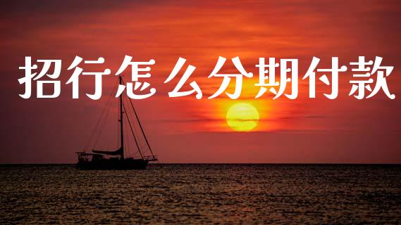 招行怎么分期付款_https://m.fansifence.com_公募基金_第1张