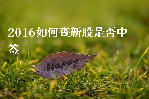 2016如何查新股是否中签_https://m.fansifence.com_消费金融_第1张