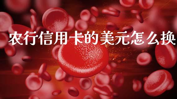 农行信用卡的美元怎么换_https://m.fansifence.com_公募基金_第1张