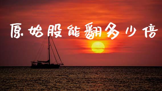原始股能翻多少倍_https://m.fansifence.com_公募基金_第1张