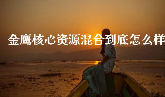 金鹰核心资源混合到底怎么样_https://m.fansifence.com_消费金融_第1张