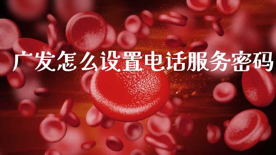 广发怎么设置电话服务密码_https://m.fansifence.com_消费金融_第1张