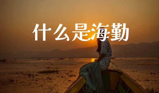 什么是海勤_https://m.fansifence.com_消费金融_第1张