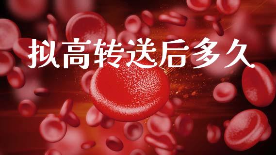 拟高转送后多久_https://m.fansifence.com_个股行情_第1张
