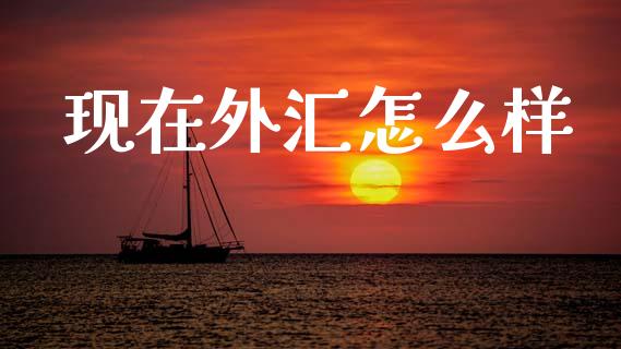 现在外汇怎么样_https://m.fansifence.com_个股行情_第1张