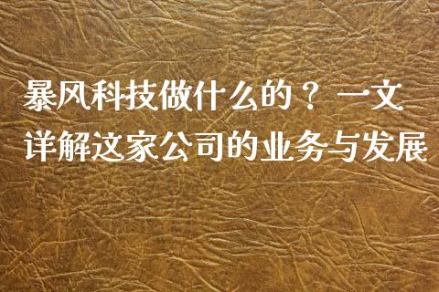 暴风科技做什么的？ 一文详解这家公司的业务与发展_https://m.fansifence.com_公募基金_第1张