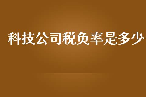 科技公司税负率是多少_https://m.fansifence.com_个股行情_第1张