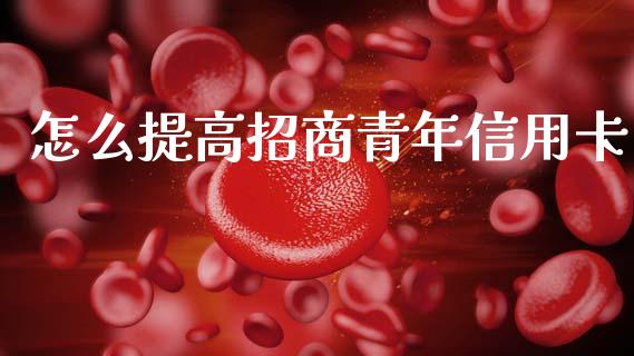 怎么提高招商青年信用卡_https://m.fansifence.com_消费金融_第1张