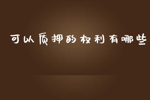 可以质押的权利有哪些_https://m.fansifence.com_消费金融_第1张