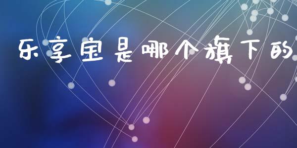 乐享宝是哪个旗下的_https://m.fansifence.com_消费金融_第1张