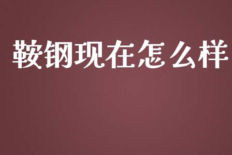 鞍钢现在怎么样_https://m.fansifence.com_消费金融_第1张