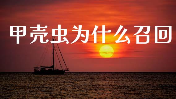 甲壳虫为什么召回_https://m.fansifence.com_贵金属行情_第1张