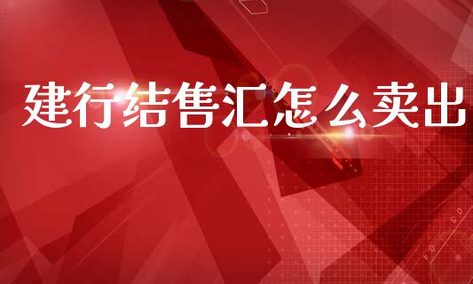 建行结售汇怎么卖出_https://m.fansifence.com_公募基金_第1张