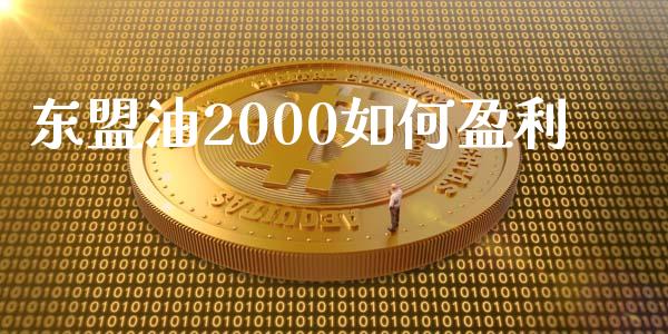 东盟油2000如何盈利_https://m.fansifence.com_个股行情_第1张