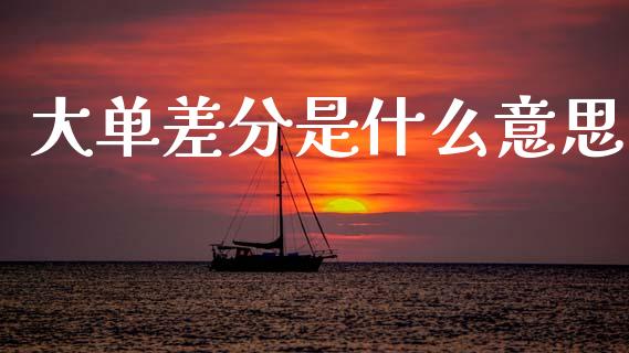 大单差分是什么意思_https://m.fansifence.com_公募基金_第1张