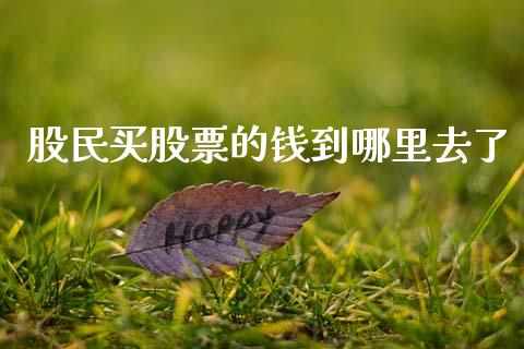 股民买股票的钱到哪里去了_https://m.fansifence.com_公募基金_第1张