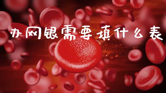 办网银需要填什么表_https://m.fansifence.com_个股行情_第1张