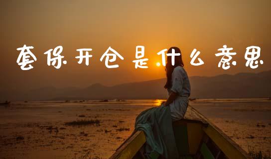 套保开仓是什么意思_https://m.fansifence.com_贵金属行情_第1张
