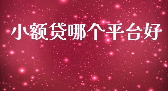 小额贷哪个平台好_https://m.fansifence.com_消费金融_第1张