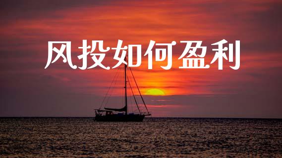 风投如何盈利_https://m.fansifence.com_消费金融_第1张