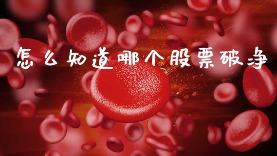 怎么知道哪个股票破净_https://m.fansifence.com_公募基金_第1张