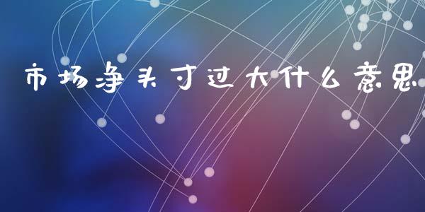 市场净头寸过大什么意思_https://m.fansifence.com_个股行情_第1张