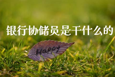 银行协储员是干什么的_https://m.fansifence.com_个股行情_第1张