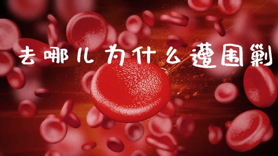去哪儿为什么遭围剿_https://m.fansifence.com_消费金融_第1张