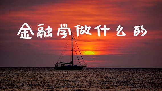 金融学做什么的_https://m.fansifence.com_消费金融_第1张