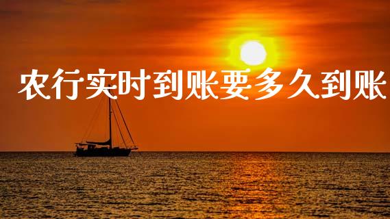 农行实时到账要多久到账_https://m.fansifence.com_个股行情_第1张