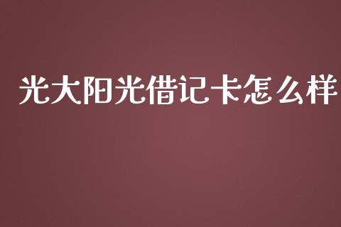 光大阳光借记卡怎么样_https://m.fansifence.com_公募基金_第1张