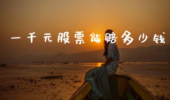 一千元股票能赔多少钱_https://m.fansifence.com_贵金属行情_第1张