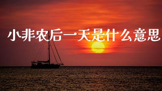 小非农后一天是什么意思_https://m.fansifence.com_公募基金_第1张
