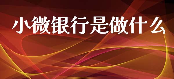 小微银行是做什么_https://m.fansifence.com_消费金融_第1张