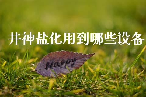 井神盐化用到哪些设备_https://m.fansifence.com_个股行情_第1张