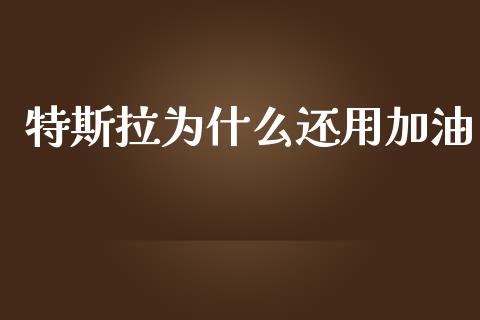 特斯拉为什么还用加油_https://m.fansifence.com_个股行情_第1张